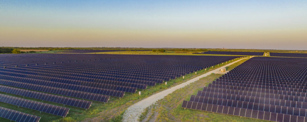 Lightsource bp switches on 40 MW of solar in Poland 