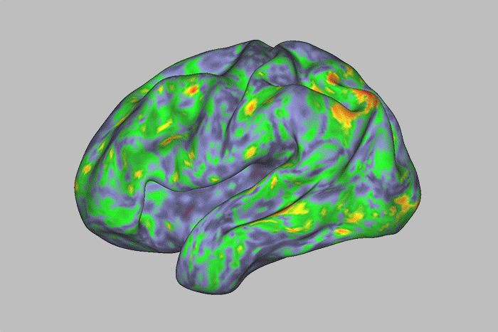 Scientist took psychedelic drug –