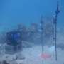 broadcasting-sounds-of-healthy-coral-reefs-encourages-coral-larvae-growth-study-shows.jpg Broadcasting sounds of healthy coral reefs encourages coral larvae growth, study shows