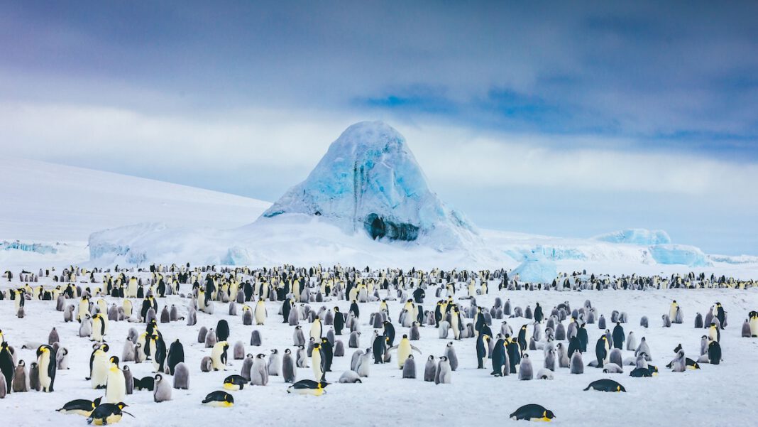 where-to-travel-in-december.jpg Where to travel in December