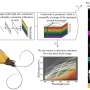 hyperspectral-imaging-technique-illuminates-the-colorful-plumage-of-birds.jpg Hyperspectral imaging technique illuminates the colorful plumage of birds