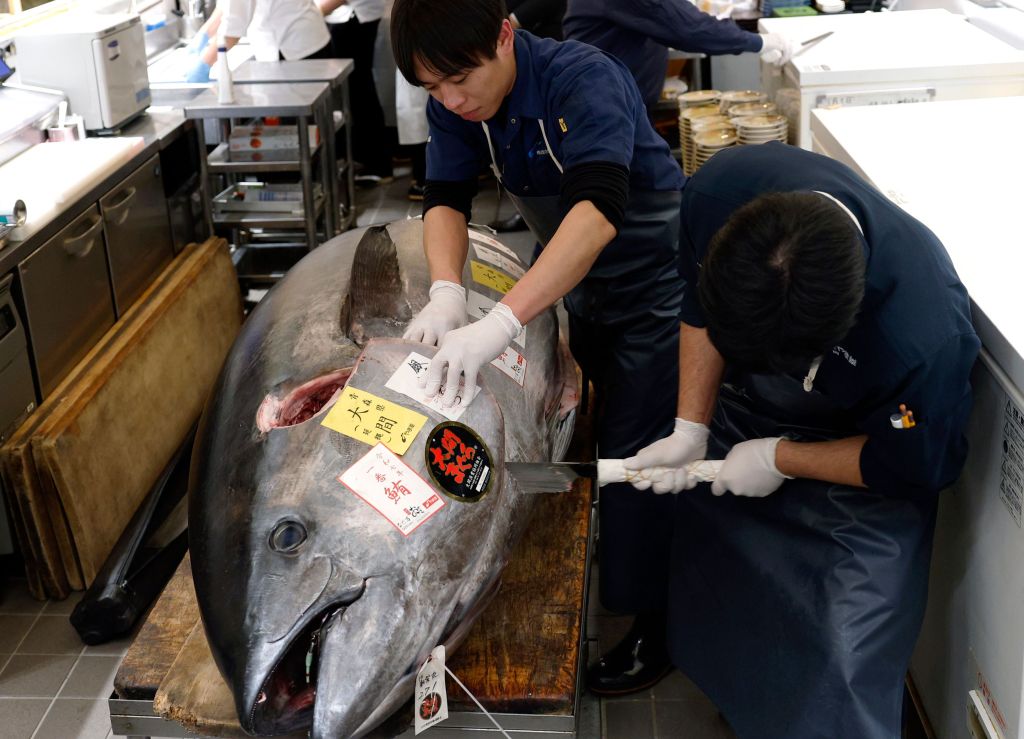 Giant tuna the size of a motorcycle sold to sushi restauranteurs in Tokyo for $1.3 million