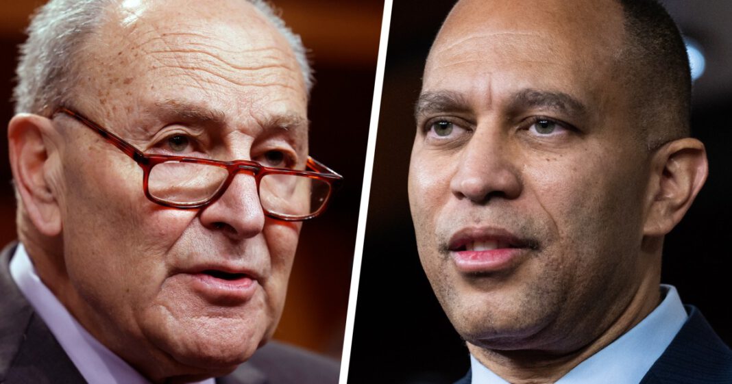 ‘It’s a small victory’: Democrats find their voice fighting Trump’s federal funding freeze