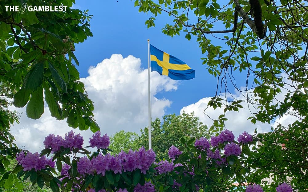 Spelinspektionen shares new guidance for working against money laundering