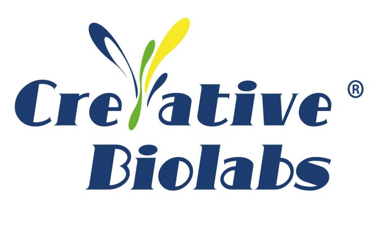 Creative Biolabs Conjugation Technology: Antibody Targeting Carriers Driving Precision Drug Delivery
