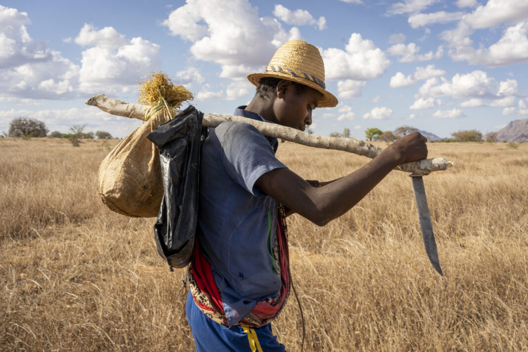 Beyond anxiety: Teens’ mental health suffers on Africa’s climate frontlines