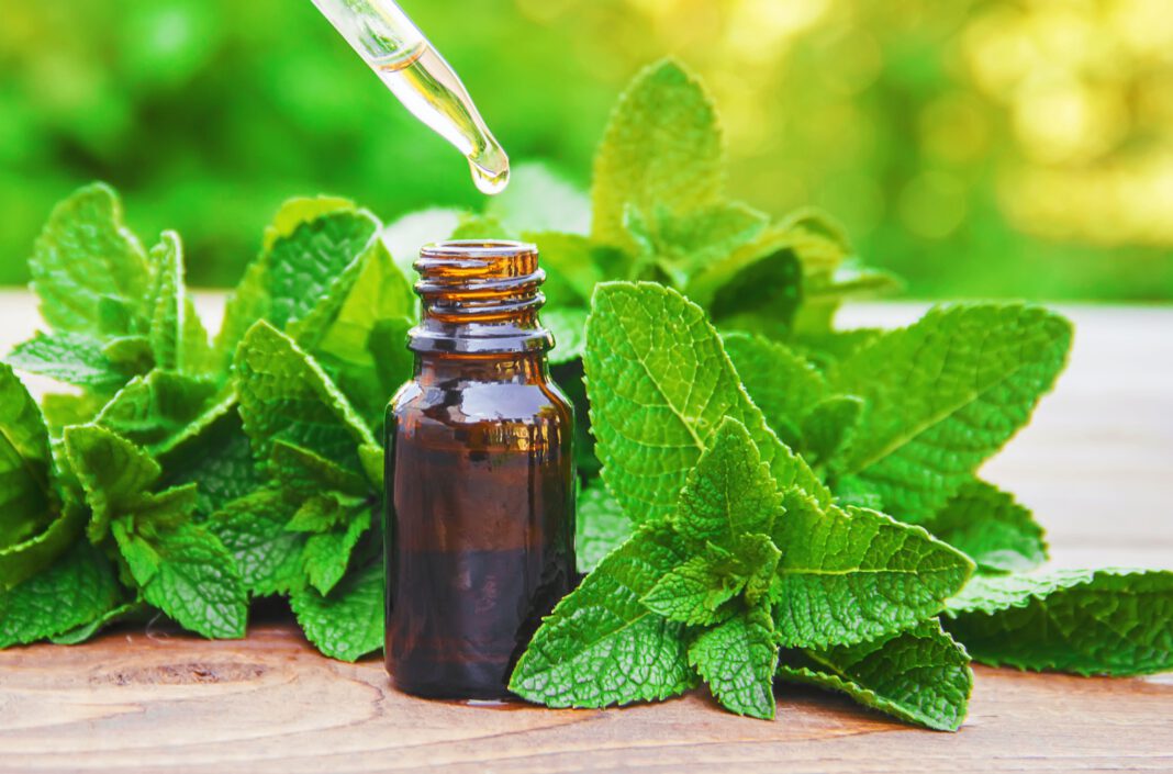 does-peppermint-oil-for-hair-really-work-experts-weigh-in.jpg Does Peppermint Oil for Hair Really Work? Experts Weigh In