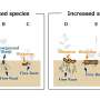 alpine-plant-decline-linked-to-smaller-rhizomes-and-shorter-fine-roots.jpg Alpine plant decline linked to smaller rhizomes and shorter fine roots
