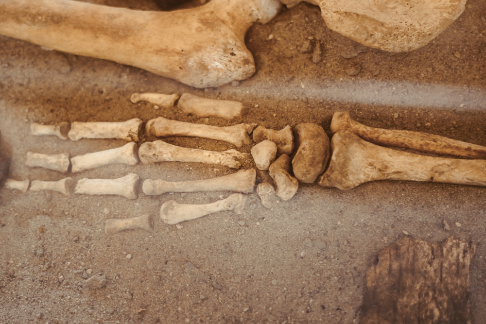 fossils-reveal-how-ancient-human-relatives-used-their-hands-for-climbing-and-tools.jpg Fossils Reveal How Ancient Human Relatives Used Their Hands For Climbing and Tools